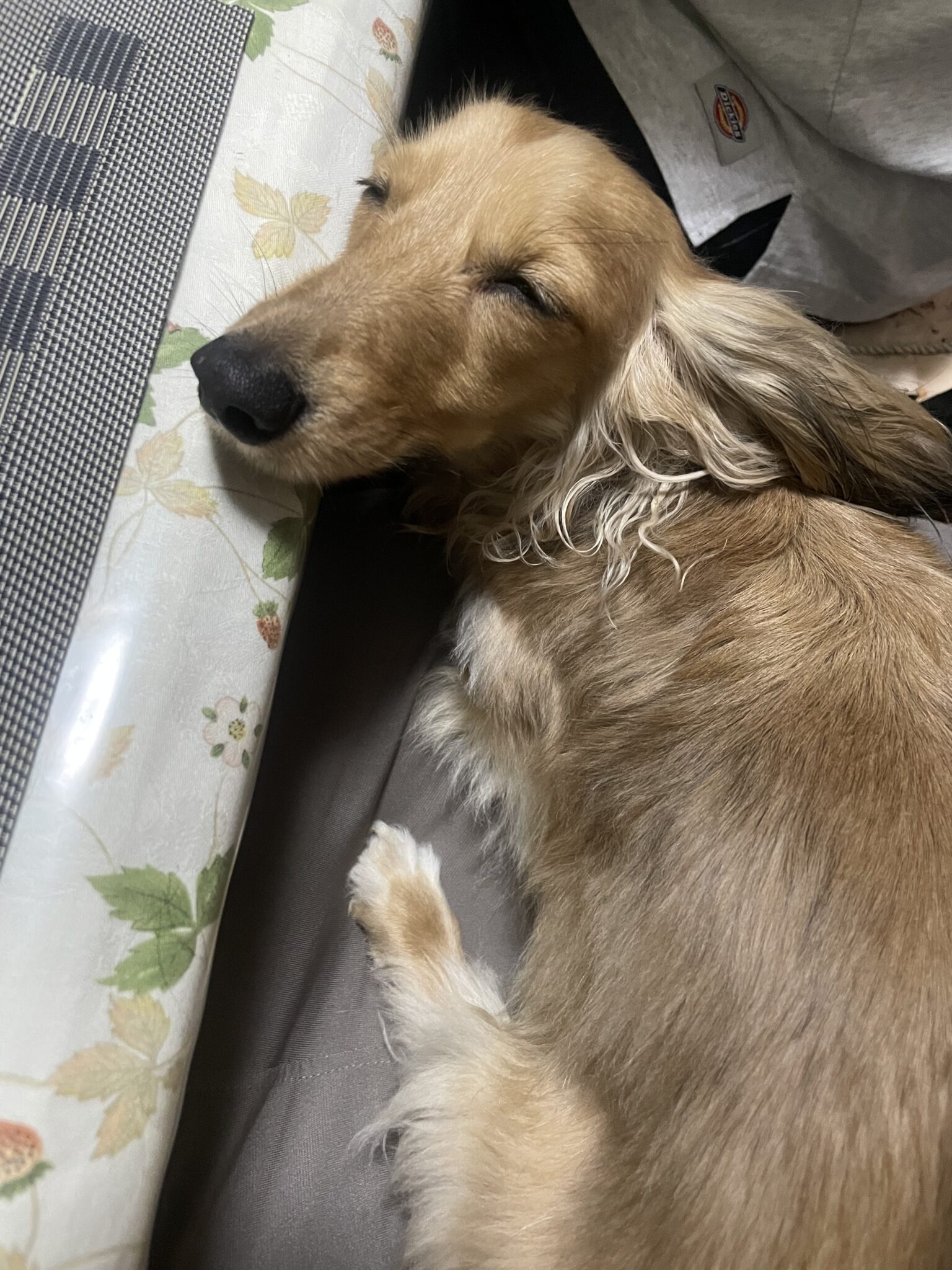 6月の定休日